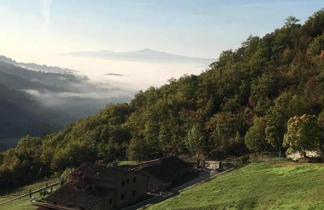 Il Castiglione Agriturismo Bio-1